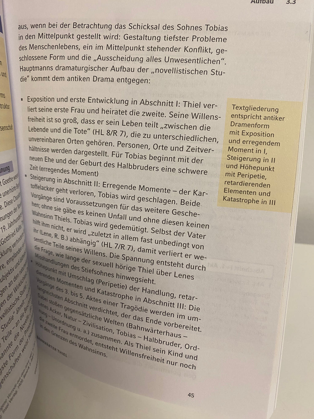 Bahnwärter Thiel - Analyse Interpretation - von Gerhart Hauptmann -  neuwertig