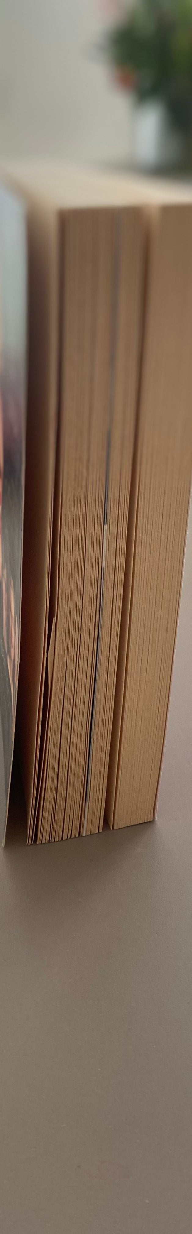 Taschenbuch Mona Lisas Lächeln von Deborah Chiel, Roman zum Film mit Julia Roberts, Knaur Verlag, sehr guter gebrauchter Zustand.
